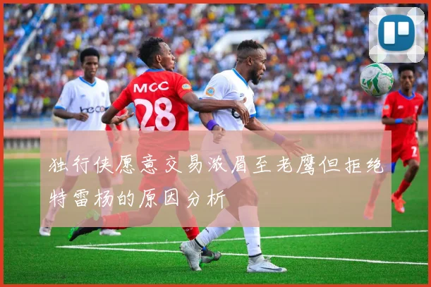 独行侠愿意交易浓眉至老鹰但拒绝特雷杨的原因分析