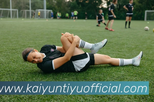 开云体育服务体系